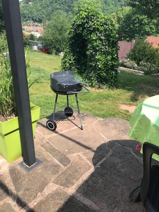 Gite Des Renards La Broque Kültér fotó
