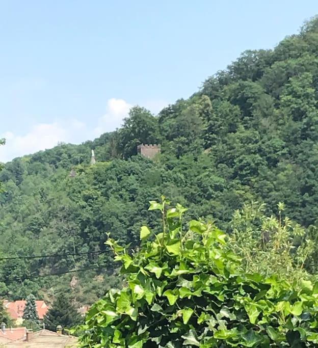 Gite Des Renards La Broque Kültér fotó